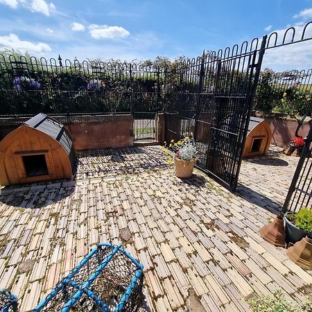 Villa Eco Indigo Dunbar Esterno foto